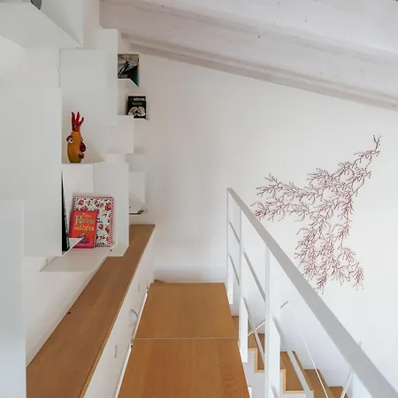 Belago By Design *