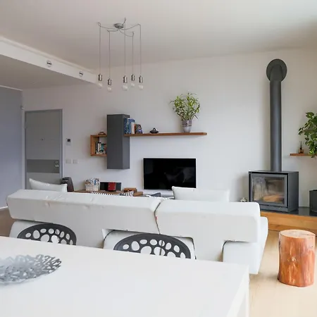 Belago By Design
